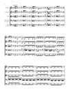Vivaldi - Cello Concerto in D minor, RV 406 (Urtext Edition)
