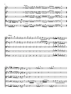 Vivaldi - Cello Concerto in E minor, RV 409 (Urtext Edition)
