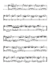 Vivaldi - Cello Concerto in G minor, RV 417 (Urtext Edition)