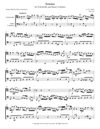 C.P.E. Bach - Gamba Sonata in C major (Transcribed for Cello Duet)