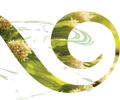 Berkeley Workshop SAT Aug. 26, 2017