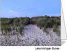 Set of 4 Notecards - "Lake Michigan Dunes"
