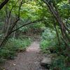 Tier 1: Trailhead ($10)