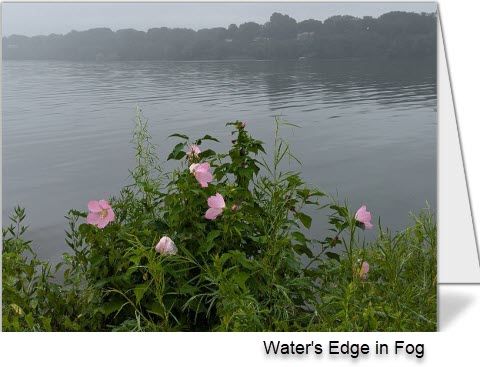 Set of 3 Notecards - "Water's Edge in Fog"