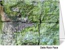 Set of 2 Notecards - "Dells Rock Face"