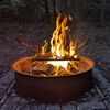 Tier 4: Campfire Circle ($150)