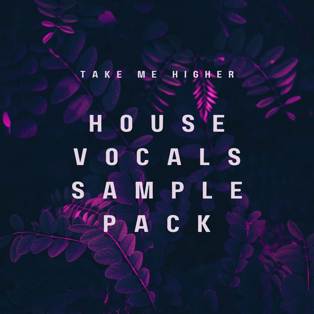 Take Me Higher - 120 BPM - C min - (Original)