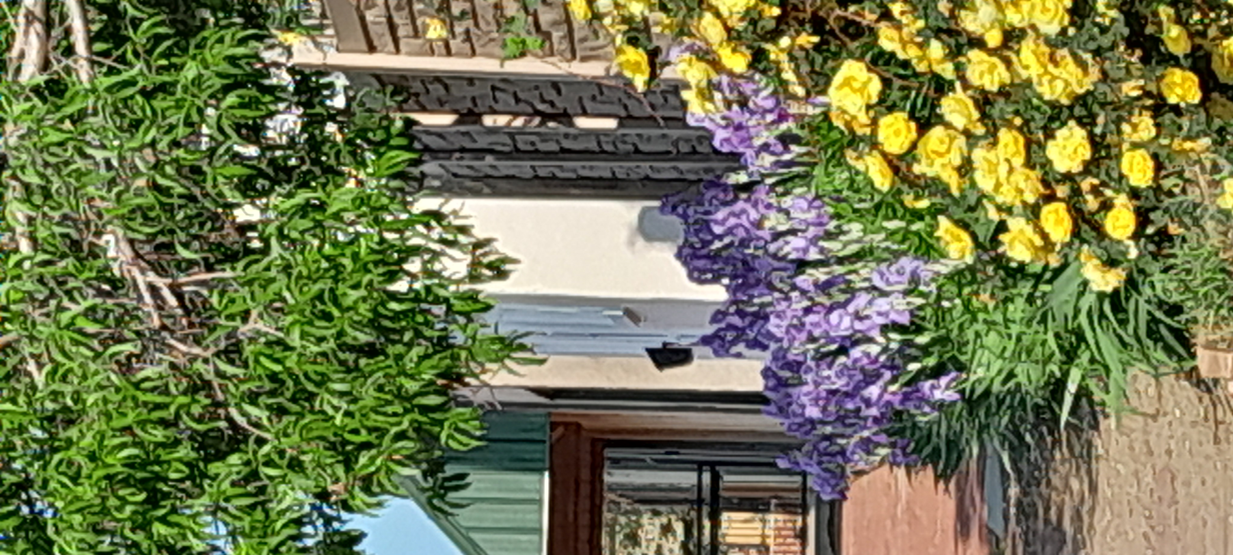 flowers in downtown Nebraska City, Nebraska