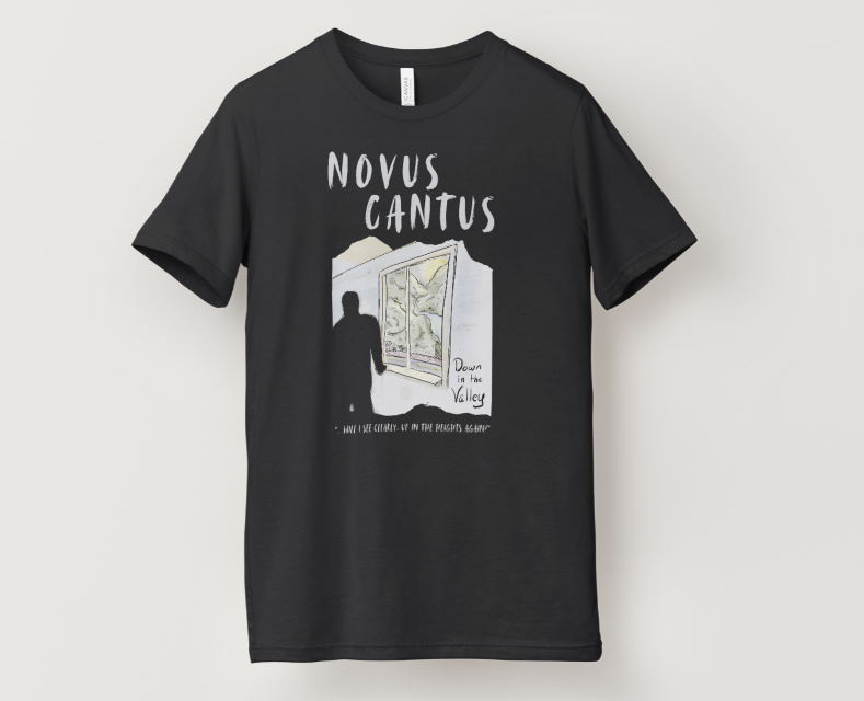 Down in the Valley Tee BUNDLE (Tee+Poster+MP3)
