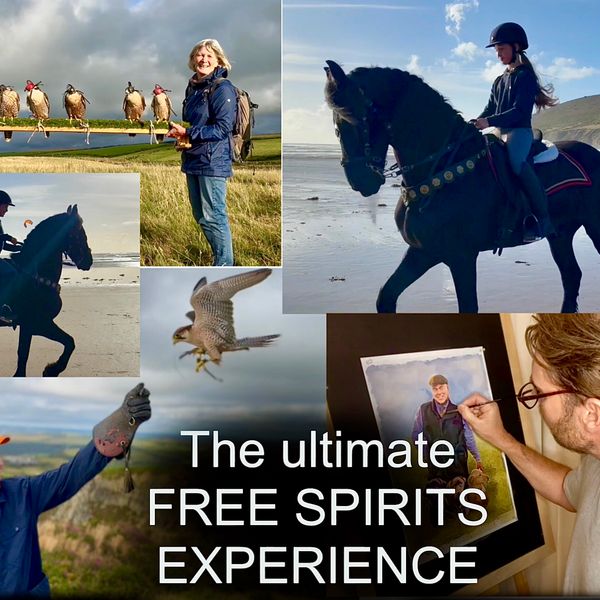 The ultimate FREE SPIRITS experience