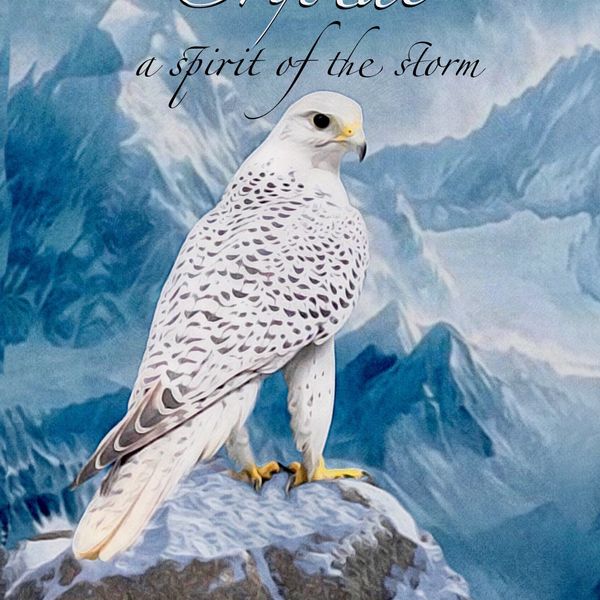 Crystal A spirit of the storm book