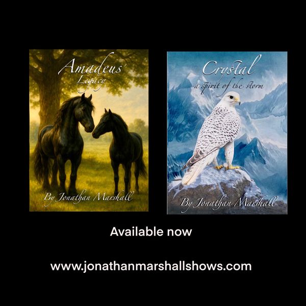 Amadeus' Legacy and Crystal A spirit of the storm books