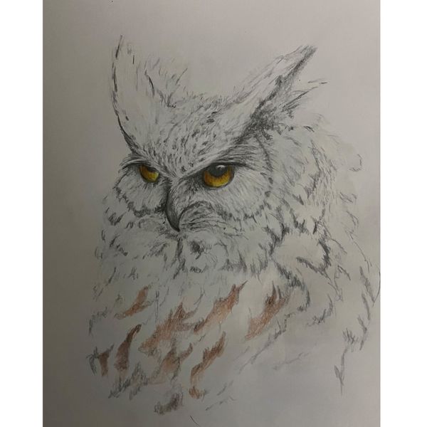Wall Art- Snow Owl