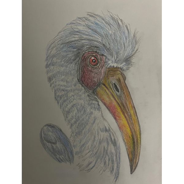 Wall Art-CooCoo Bird