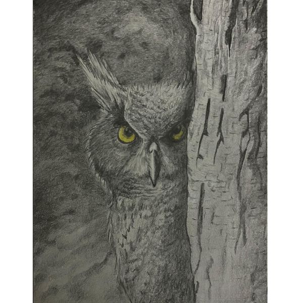 Wall Art- Hiding Owl