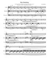 *NEW* Beesmoking (Mezzo-Soprano, Marimba, Cello)