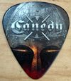 Canedy Guitar Picks