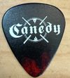 Canedy Guitar Picks