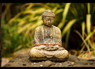 Santa Cruz Mountain Redwood Mandala Retreat for 2• Land of Medicine Buddha
