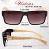 Vision Sunglasses