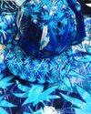 Kush Family's Liquid Blue Bundle Package