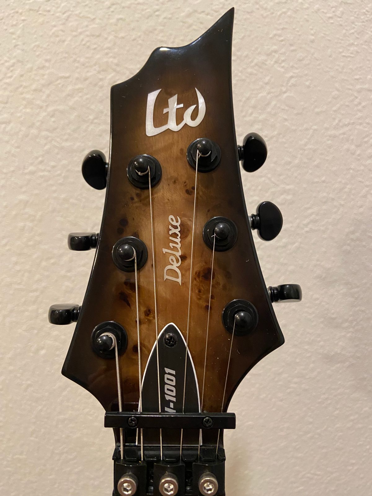 The Life On 6 Strings Primer Mini Course