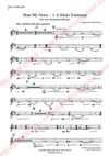A Silent Testimony — Movement I for solo instrument and piano
