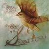 Year of the Sparrow - CD
