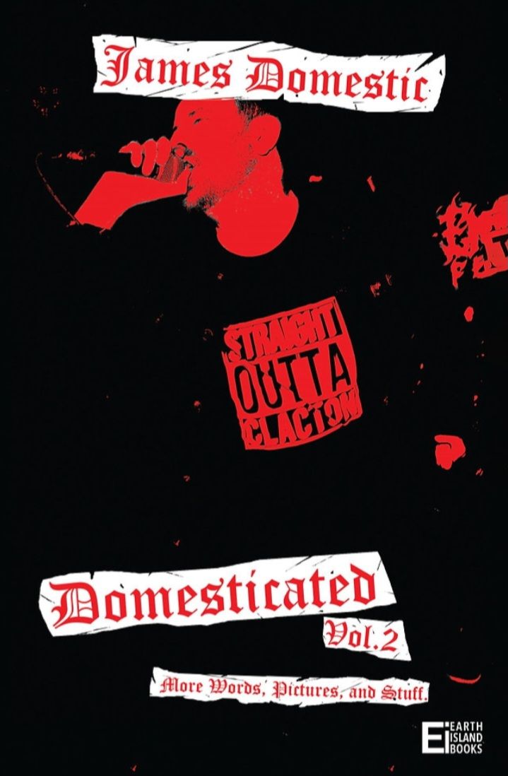 'DOMESTICATED VOL.2' BOOK