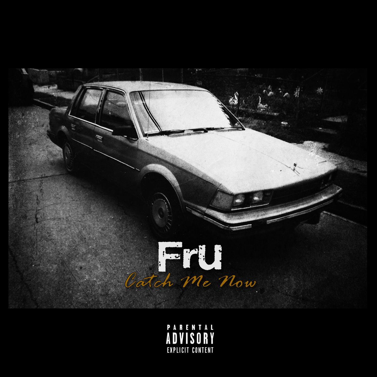 Catch Me Now LP - "Audio CD"