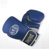 Beginners Gloves
