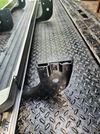 1996 -2002 Toyota 4 runner running boards