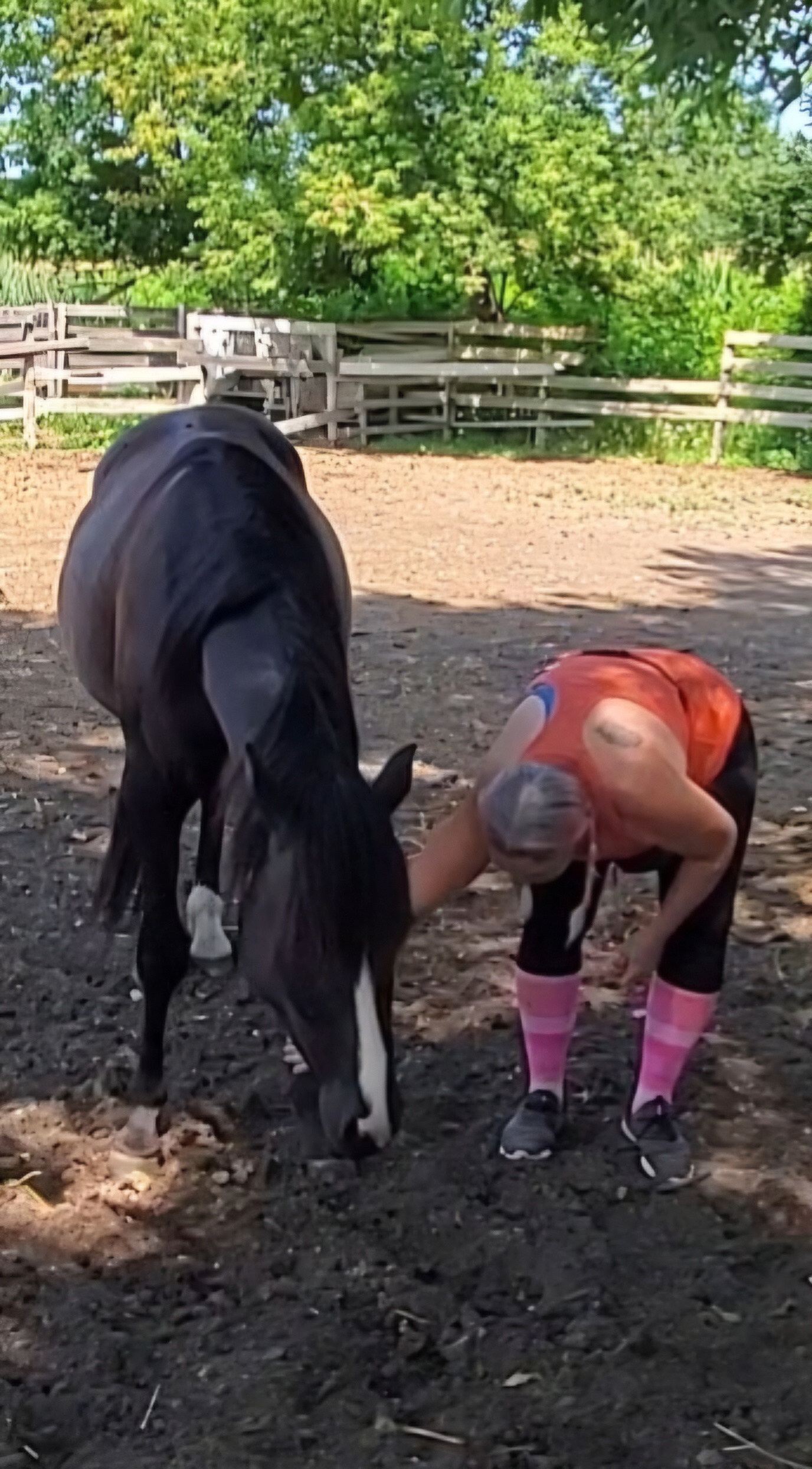 Horse imitating Gaby Dufresne-Cyr bending over