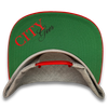 "City Lines" Snapback