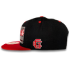 "City Lines" Snapback