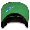 "City Lines" Snapback