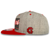 "City Lines" Snapback