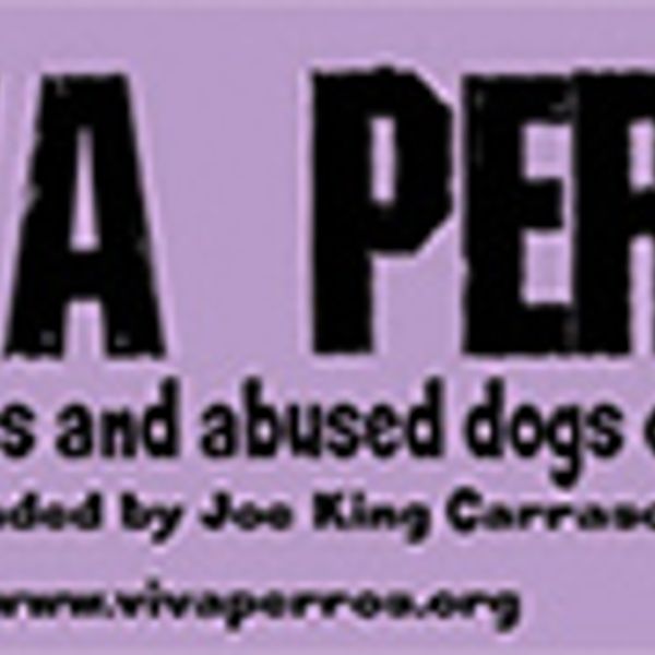 Viva Perros 12" x 3" Sticker (sold out)