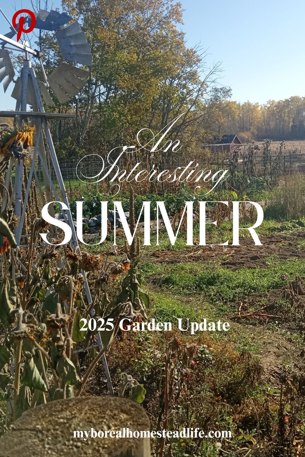 An interesting summer - Pinterest link