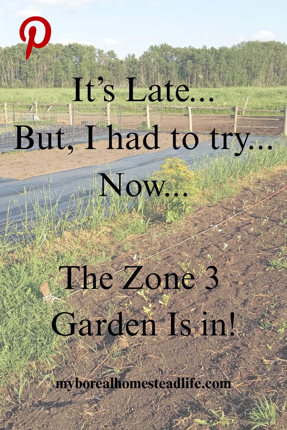 2026 Garden is in - Pinterest link