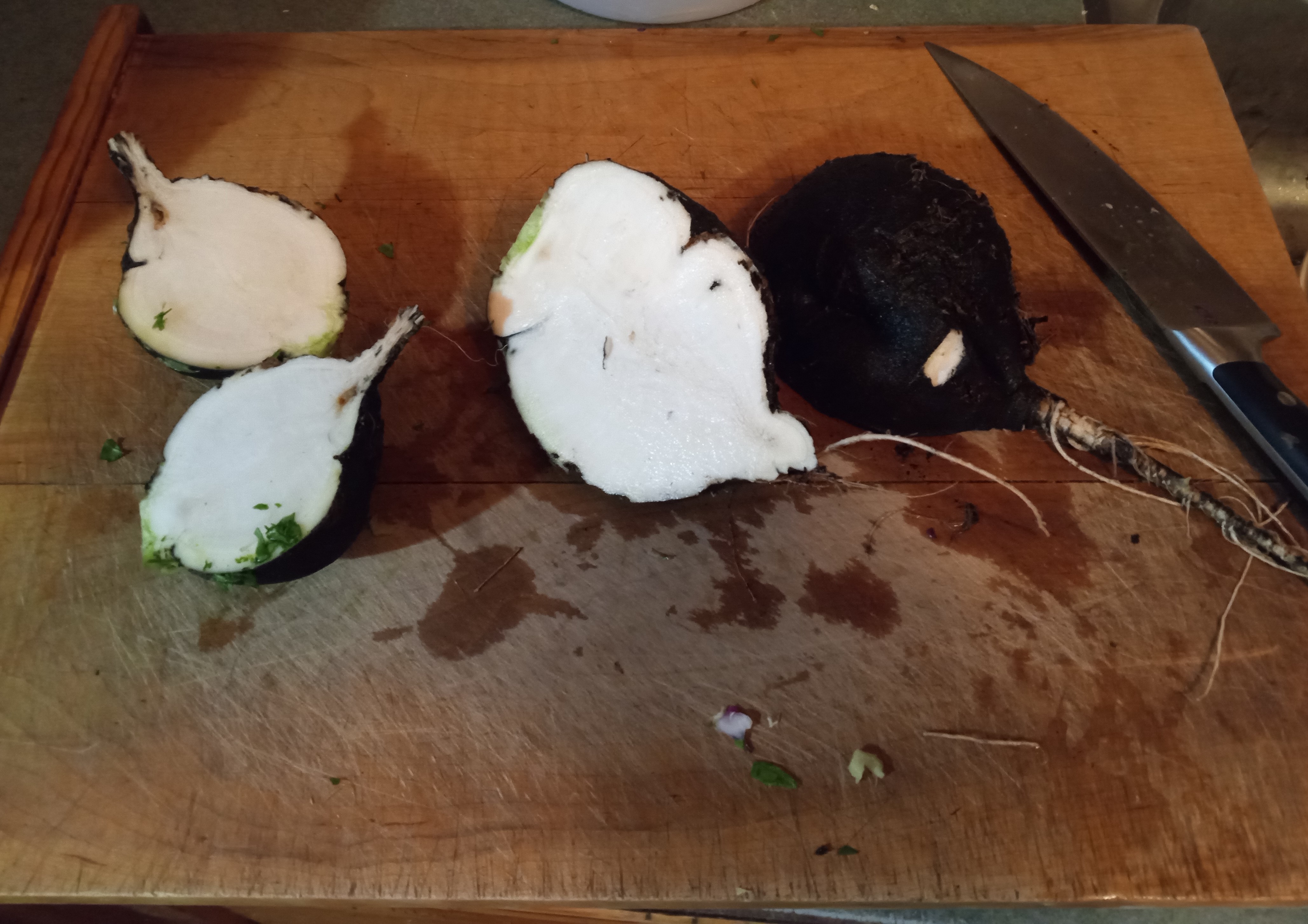 Interesting summer garden - black radish