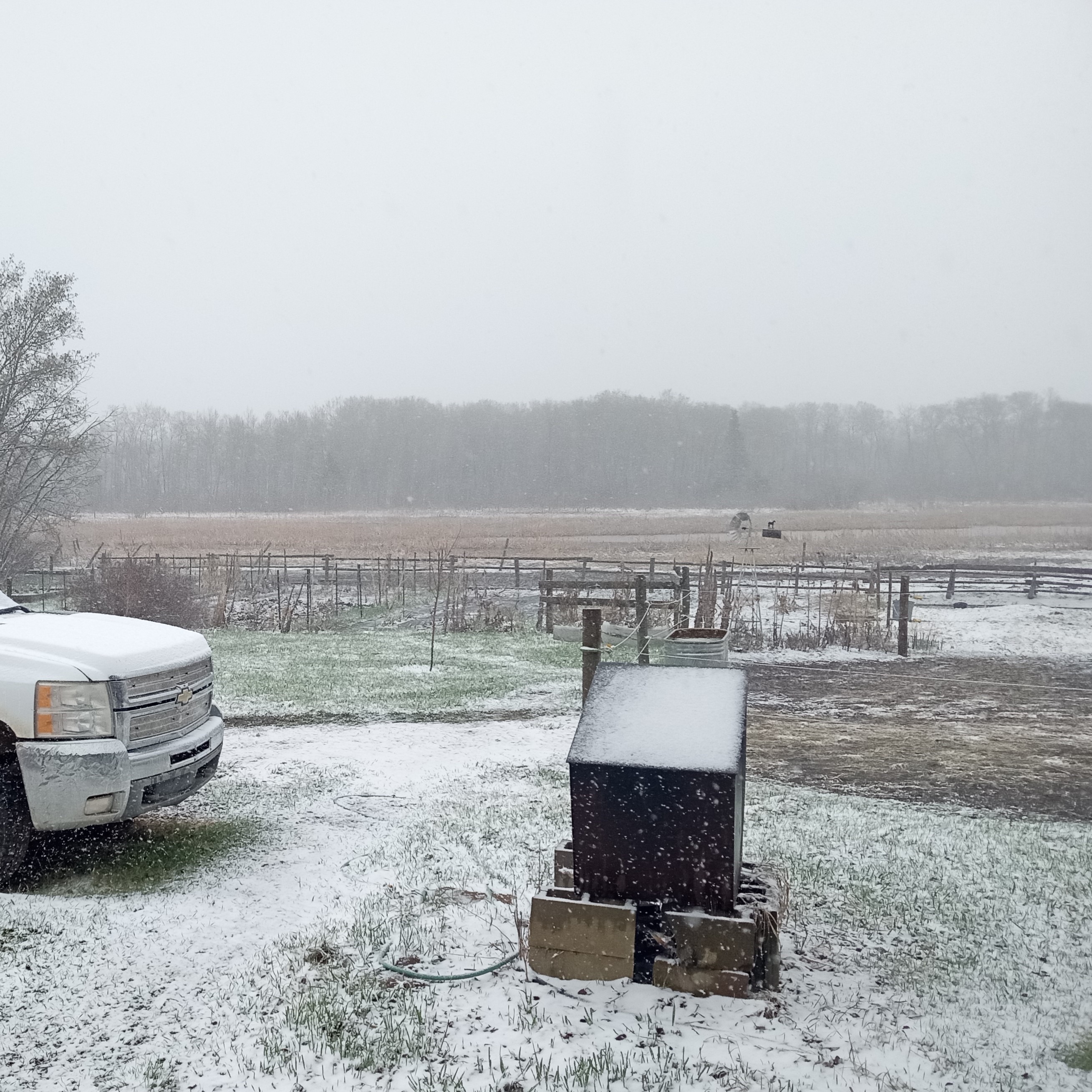 Zone 3 - 2026 Garden is in - Spring storm