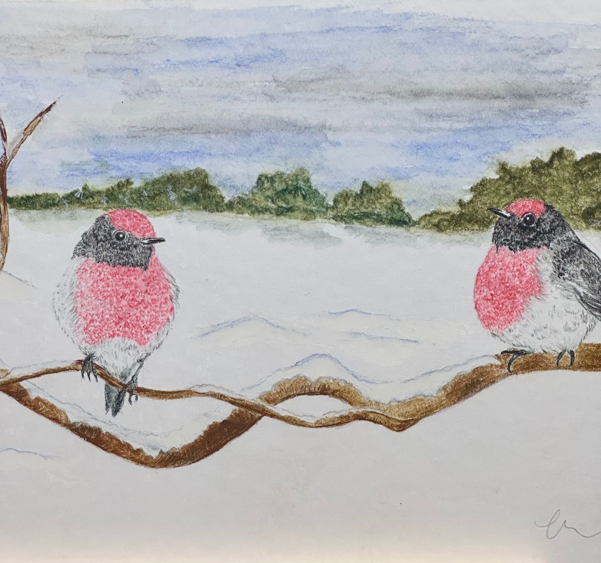 Red Breasted Robin in Snowy Mountains - ink and watercolour on paper