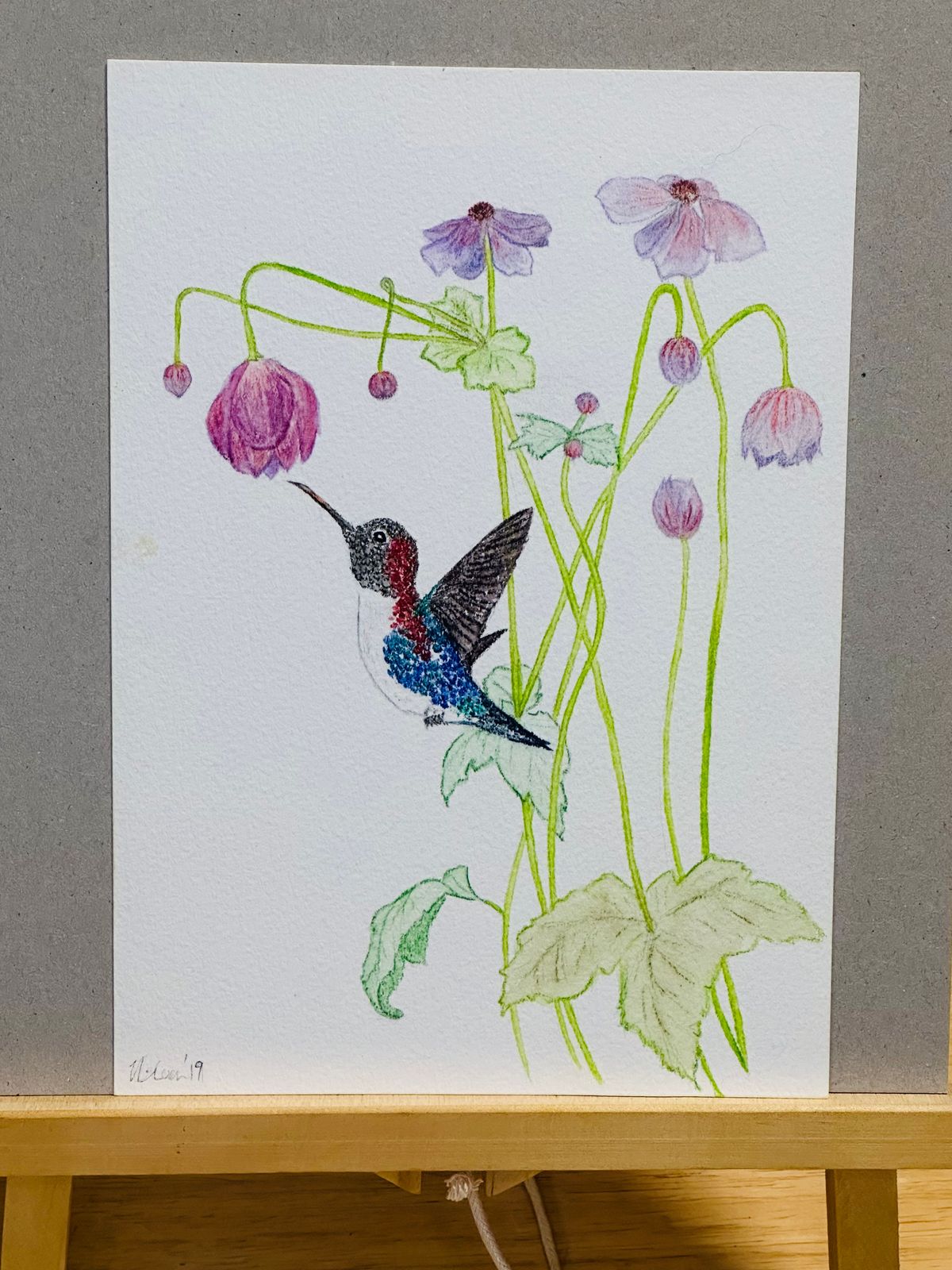 THOM THUMB HONEY EATER from the 'In The Garden series - "Thom Thumb amongst the Poppies"
