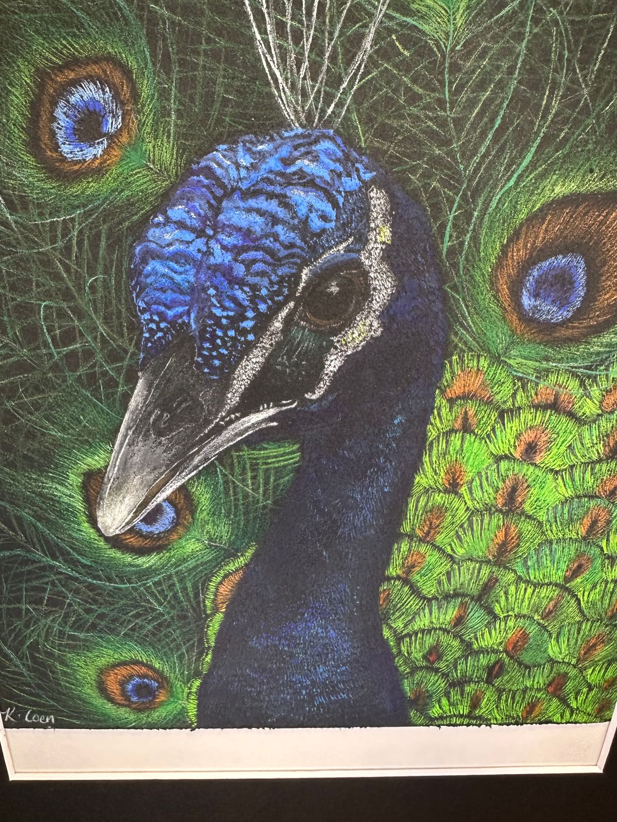 PEACOCK from the 'IN THE DARK" SERIES - Kara Coen