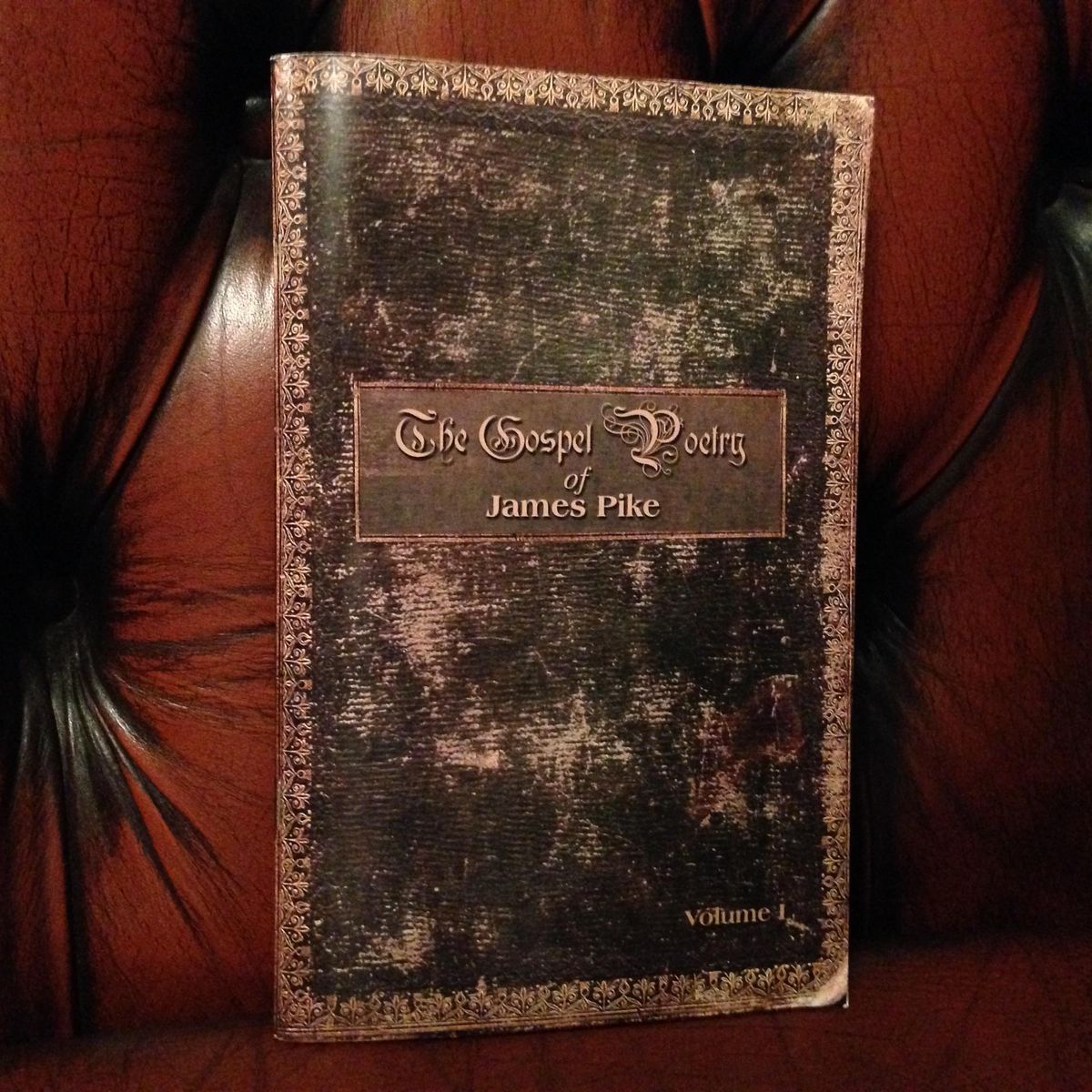 The Bible Believer's Dictionary - by James Pike