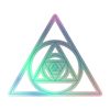 LVR Logo Holographic Sticker