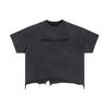 Jesus Is King (T-Shirt)