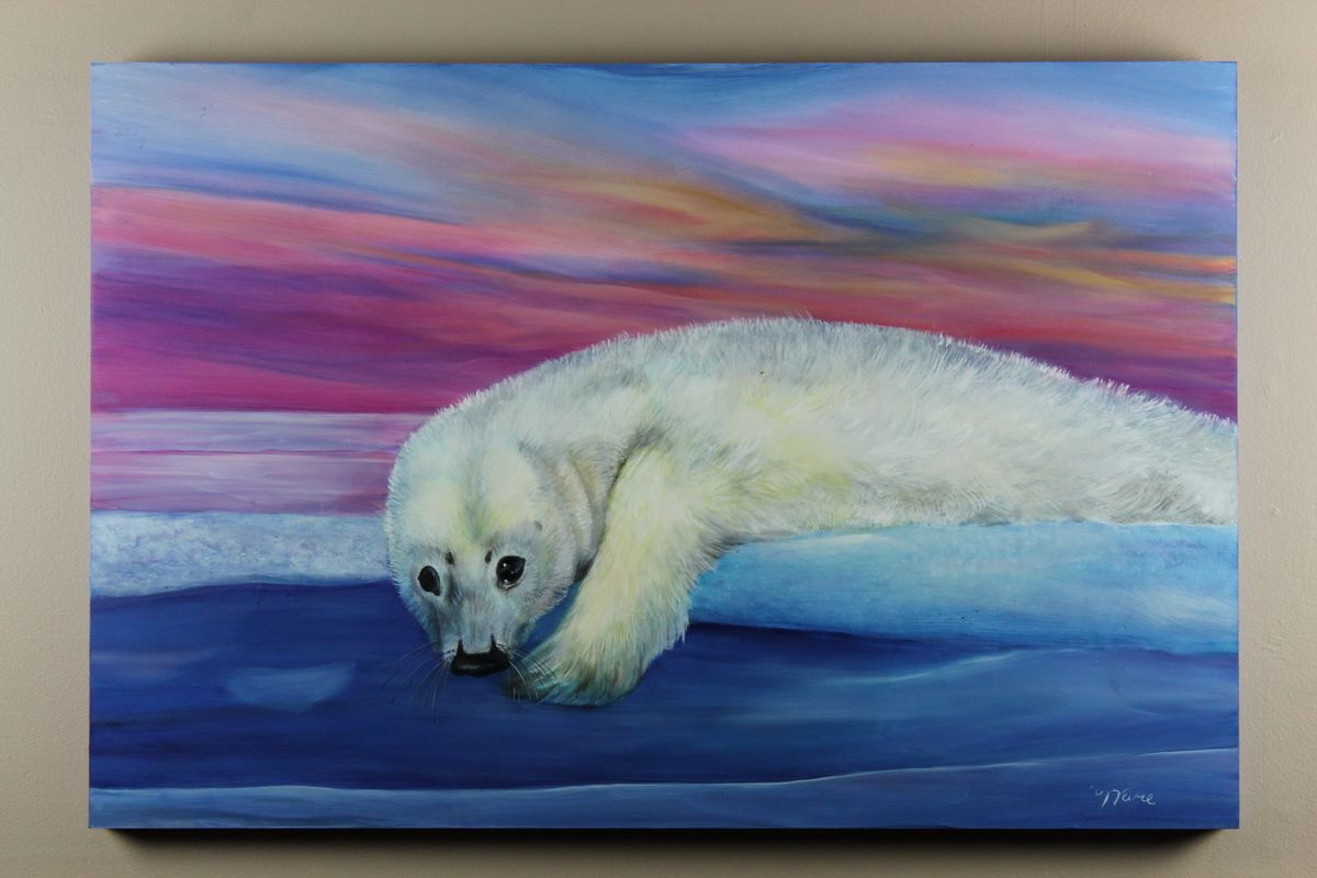 Baby Seal Taking a Dip in Snow Covered Water
