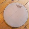 Signed Drum Head